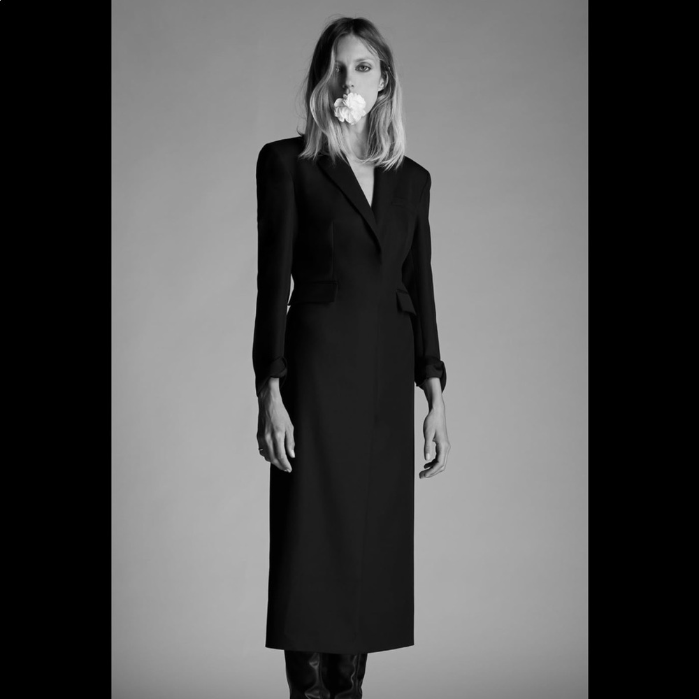 Zara NWT limited Edition Coat Dress Size XL